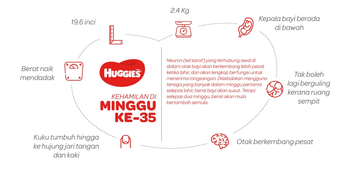 Kehamilan Di Minggu Ke-35 | Huggies Malaysia